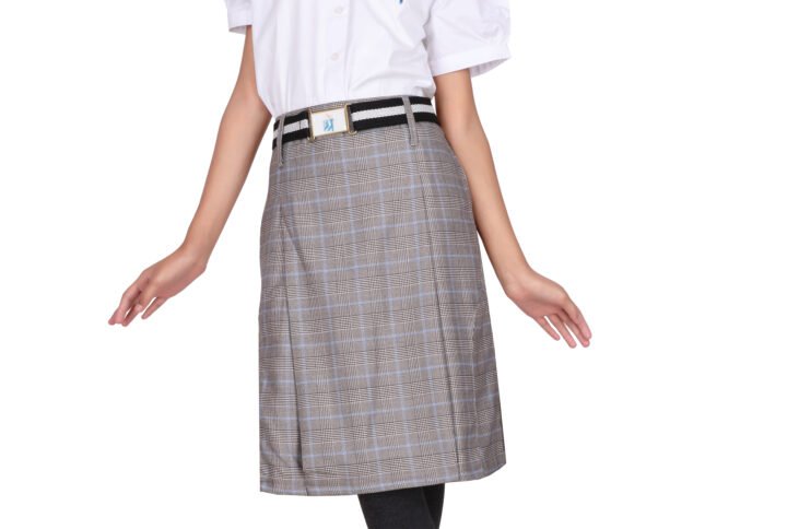 Arihant Uniform APT Denim Skirt Buy Online Ahmedabad Gujarat India(1)